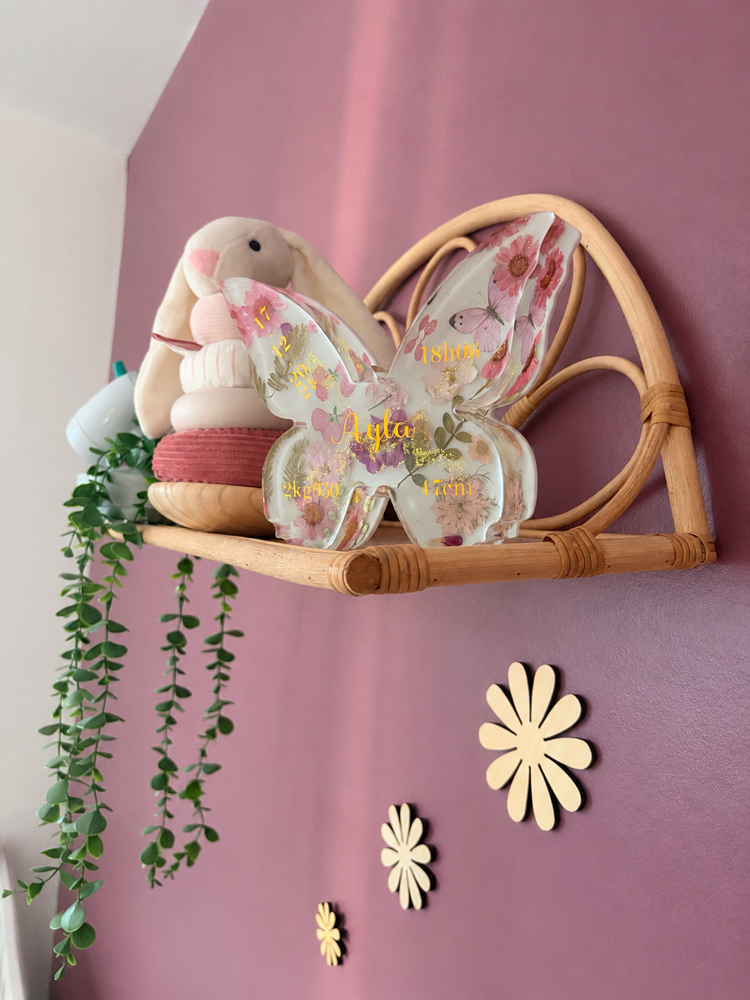 Souvenir Papillon – Image 4