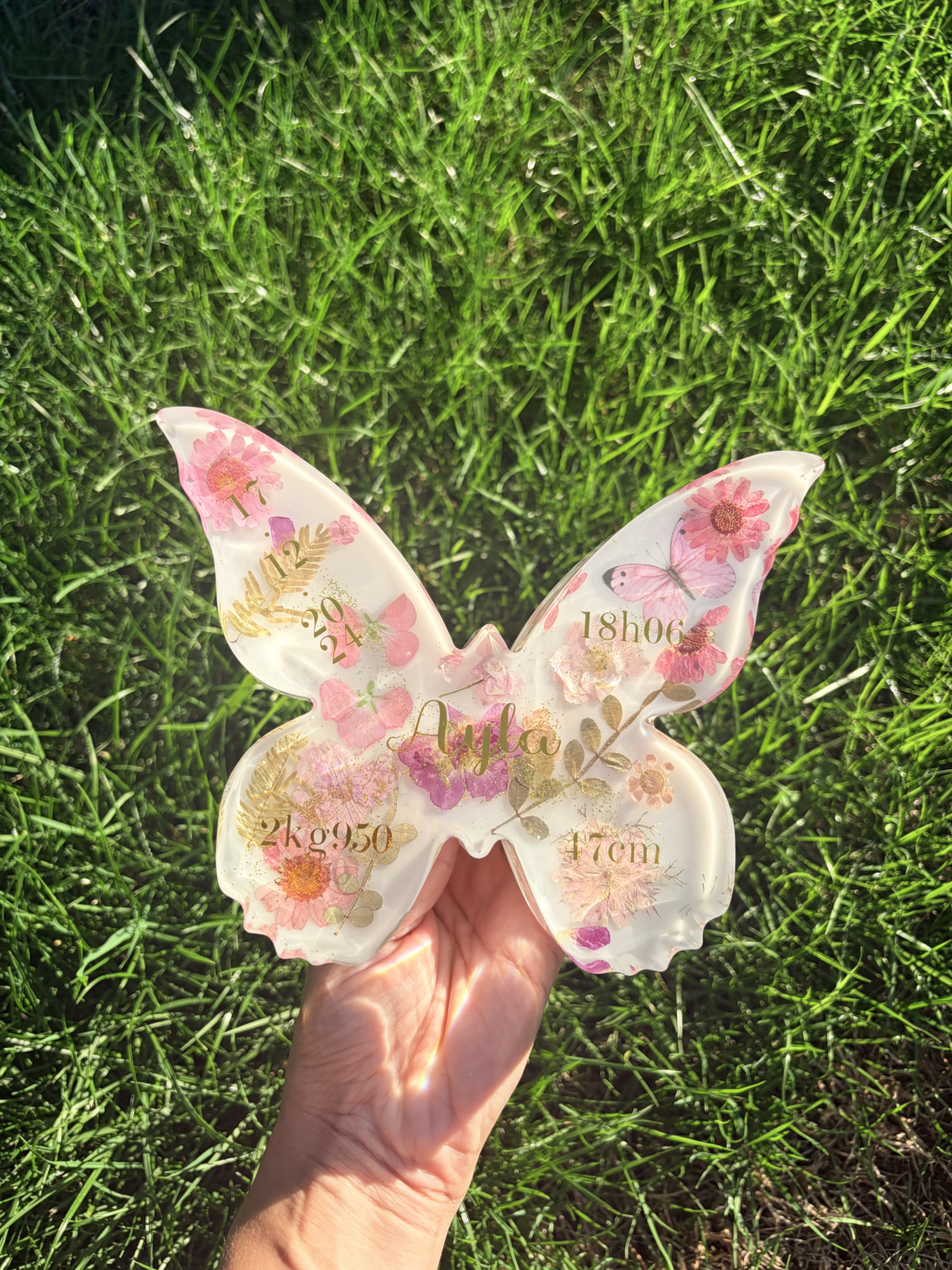 Souvenir Papillon