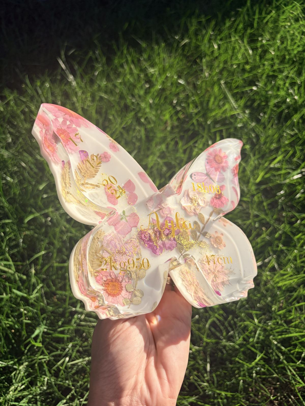 Souvenir Papillon – Image 2