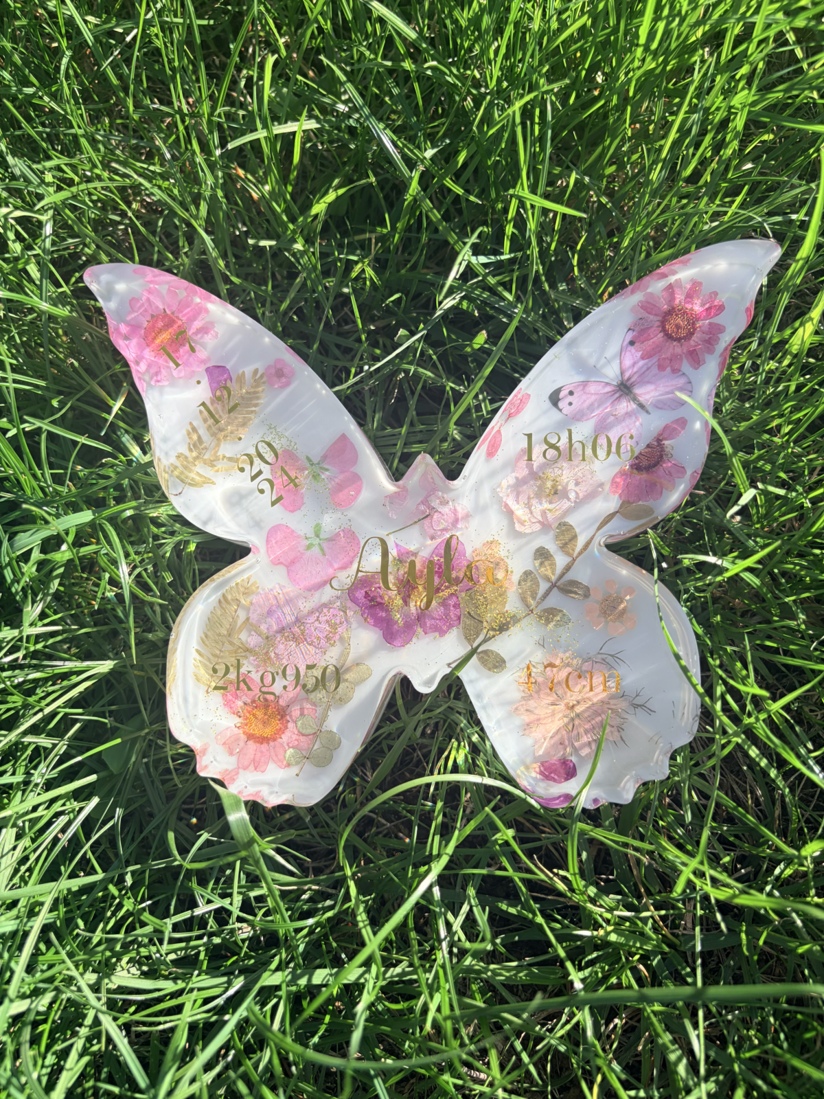 Souvenir Papillon – Image 6